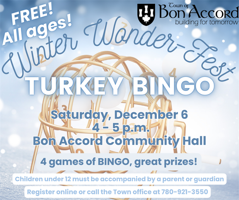 2025_Turkey_Bingo_Winter_Wonder-Fest_(corrected_date)