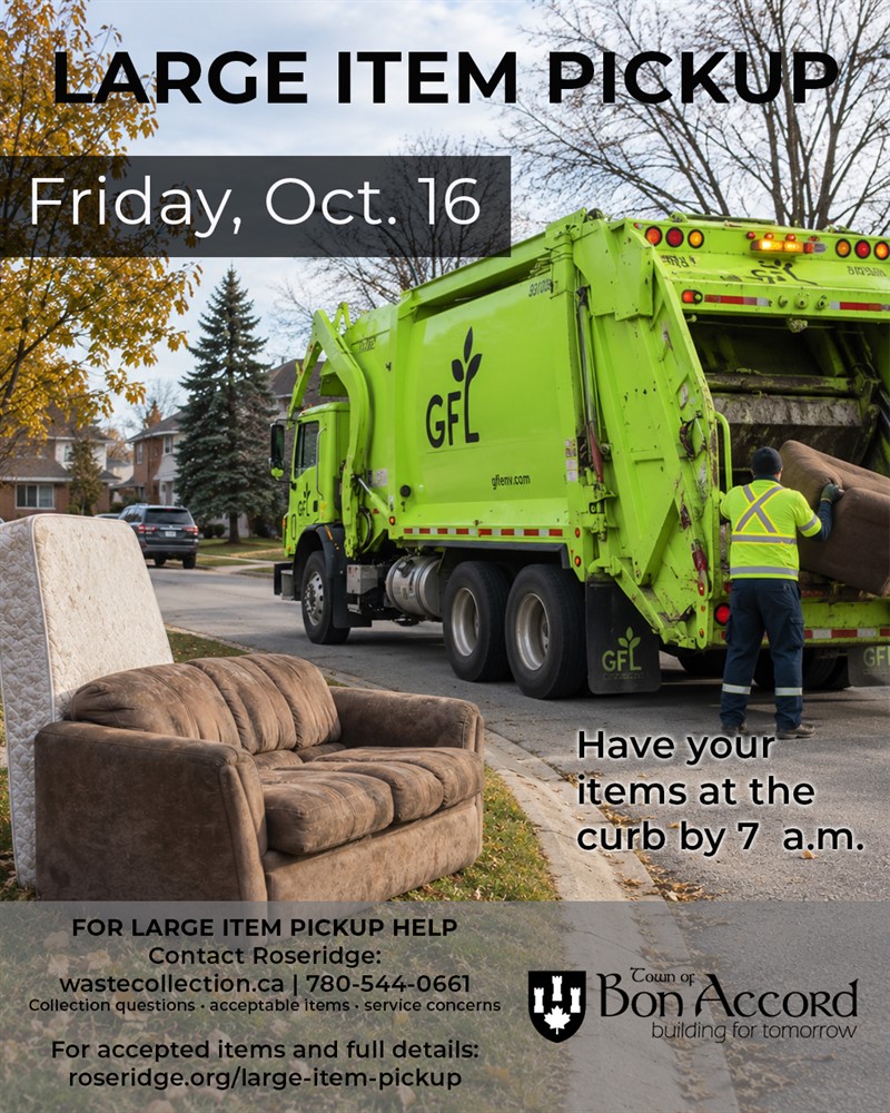 Bon_Accord_Large_Item_Pickup_Oct_16