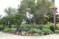 corner flower bed with many summer flowers