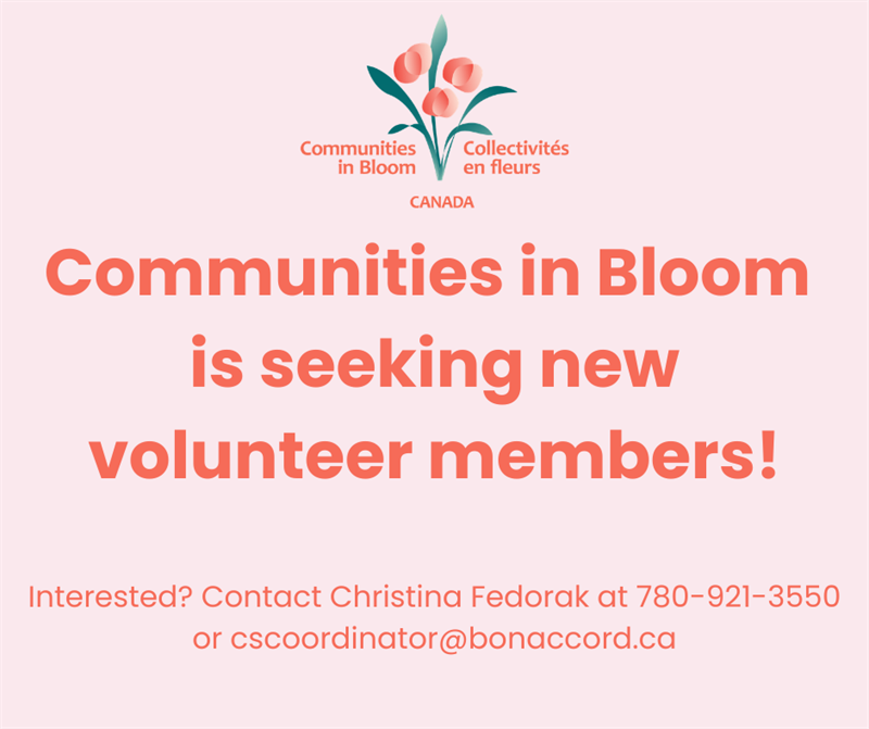 CiB_Members_Wanted