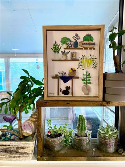 Plants
