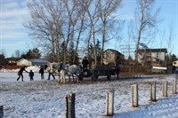 wagon being pulled by horses