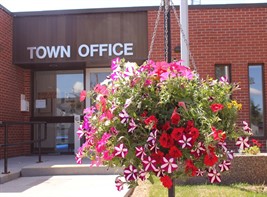 city hall building with basket of hanging flowers