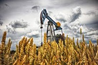 oil rig in wheat field